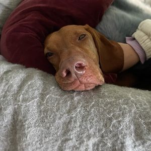 Meet your Posher, Jordan